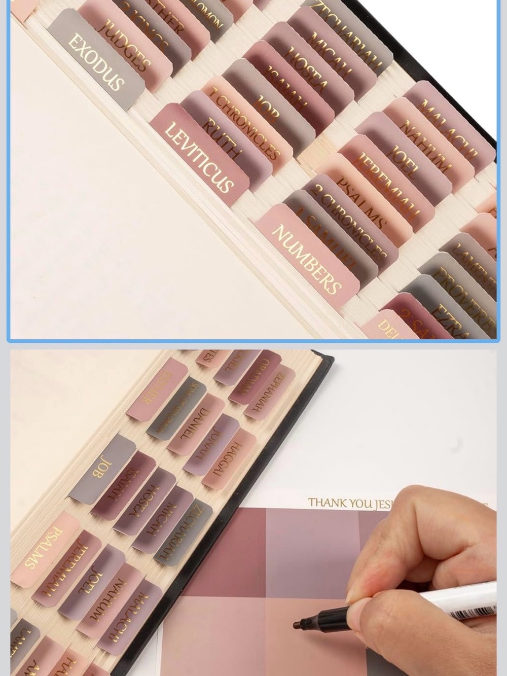 Bible Organizer Tabs Set - Soft Pink and Mauve